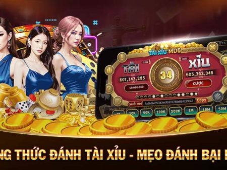 mega casino xem đá gà trực tiếp casino 🎰