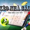 XoSo99 how to play baccarat and win online