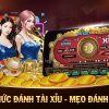 xổ số bạc liêu xổ số minh ngọc